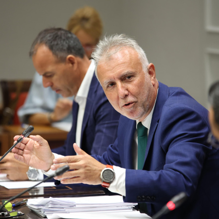 Torres desmiente en su comparecencia las acusaciones sobre contratos en la pandemia