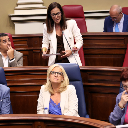 Natalia Santana exige hechos concretos al Gobierno canario para frenar la violencia vicaria