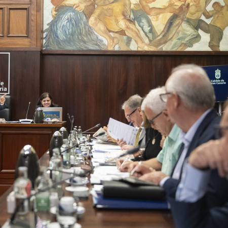 El Cabildo de Gran Canaria solicita al Gobierno de Canarias que escuche a los colectivos contrarios a las plantas de propano y biogás