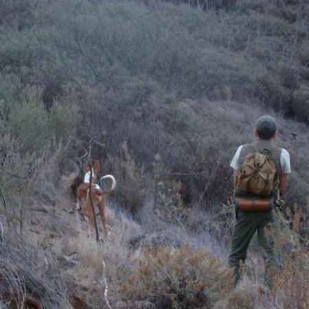 La Gomera establece el calendario de caza con escopeta a partir del 21 de septiembre