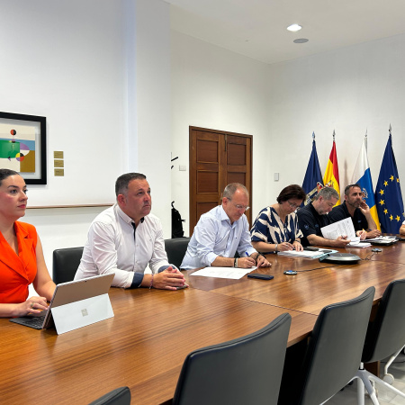 El Cabildo de La Palma autoriza el acceso a 19 viviendas, tres garajes y un local en Puerto Naos