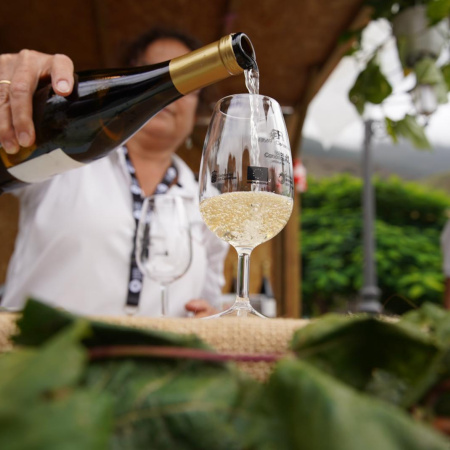 El Gobierno concede ayudas POSEI a la transformación, embotellado y comercialización exterior de vinos con DOP