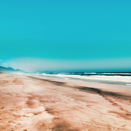 Turismo lanza unas potentes Jornadas Profesionales en Alemania junto con más de la mitad de los hoteles de Fuerteventura