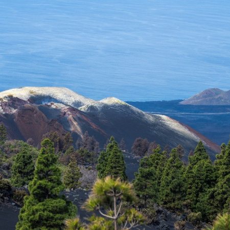 El Parlamento reclama al Estado los 200 millones pendientes para la reconstrucción de La Palma