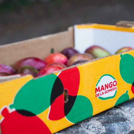 GMR Canarias impulsa la comercialización de más de 100.000 kg de mangos de La Gomera a través de una nueva imagen