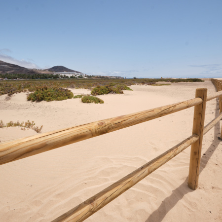 El Cabildo de Fuerteventura culmina la restauración de casi 1.000 metros de vallado para proteger el Saladar de Jandía