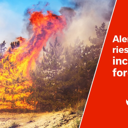 El Gobierno actualiza la situación de alerta por riesgo de incendios forestales a toda Canarias