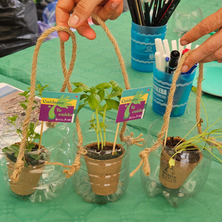 El Ayuntamiento de Las Palmas de Gran Canaria lanza un taller de plantas aromáticas y medicinales en El Pambaso