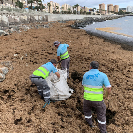 El Ayuntamiento de Las Palmas de Gran Canaria aprueba los pliegos para el contrato del servicio de limpieza y conservación esencial del litoral y las playas de la ciudad
