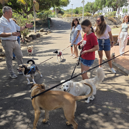 La Laguna amplía sus espacios para animales con la apertura de un nuevo parque canino en la urbanización César Manrique