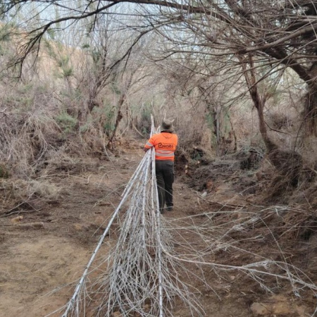 Cabildo de Fuerteventura y Consejo Insular de Aguas limpian de ramas basales varios tramos del barranco del Valle