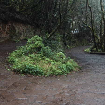 El Cabildo de La Gomera adjudica los trabajos de accesibilidad y mejora paisajística de Las Mimbreras con una inversión de 1,8 millones de euros