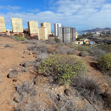 El Ayuntamiento de Las Palmas de Gran Canaria licita la renaturalización del Barranco de La Ballena dentro del Corredor Verde