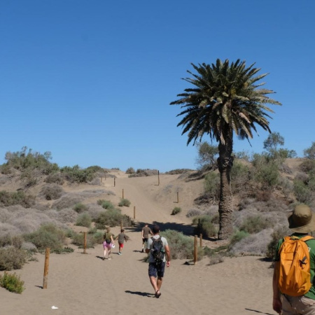 ImpulsaMaspalomas creará material audiovisual divulgativo sobre la Reserva Natural de las Dunas de Maspalomas