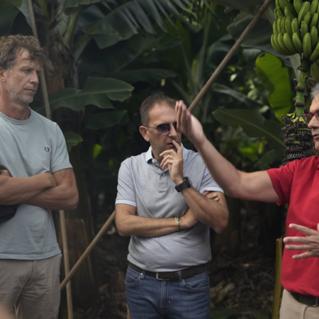 El Plátano de Canarias busca abrirse paso en el mercado italiano