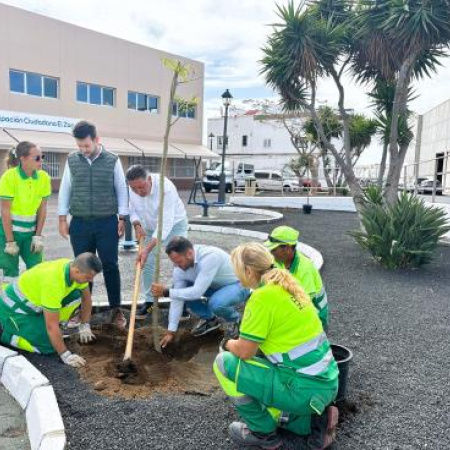 El Ayuntamiento de Arrecife licita la nueva red de riego para triplicar los árboles y zonas verdes en todo el municipio