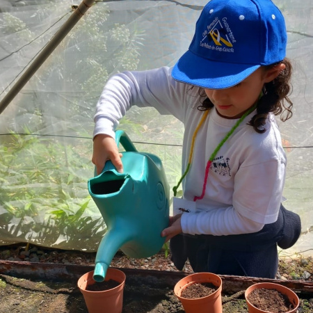 El Ayuntamiento de Las Palmas de Gran Canaria lanza una nueva edición de Huertos Escolares para centros educativos de la ciudad