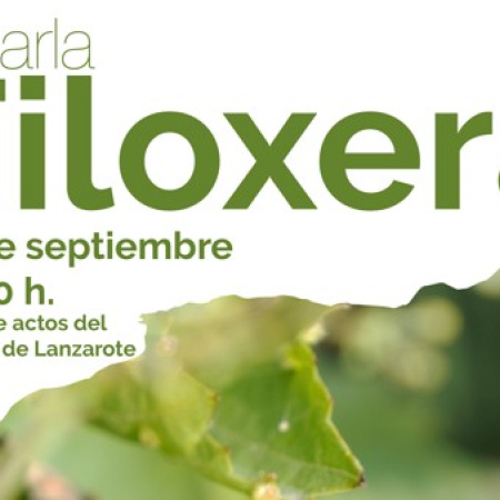 El Cabildo de Lanzarote organiza una charla informativa sobre la filoxera dirigida al sector agrícola, vitivinícola y bodeguero