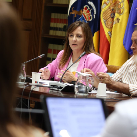 Nieves Lady Barreto: “Canarias garantiza el acceso al empleo público a mujeres VVG en un entorno seguro»