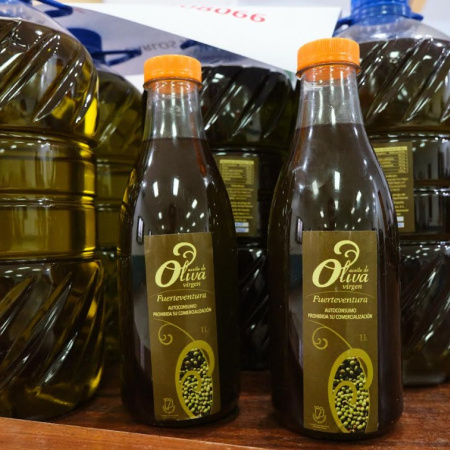 La almazara del Cabildo de Fuerteventura procesa más de 70.000 kilogramos de aceituna