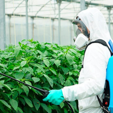 El Cabildo de La Gomera oferta nuevos cursos de manipulador de productos fitosanitarios de nivel básico