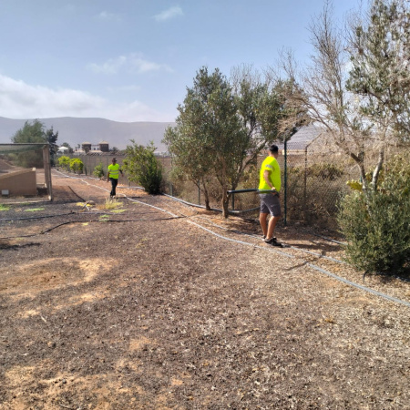 ‘Fuerteventura, bonita por naturaleza’ ejecuta mejoras en los jardines de la Estación Biológica de La Oliva