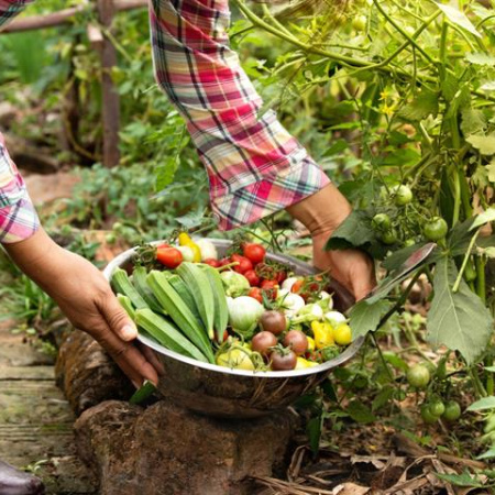 España se consolida como primer país europeo en superficie de producción ecológica