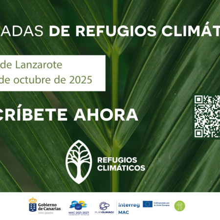 Transición impulsa la creación de refugios climáticos urbanos con unas jornadas de expertos en Lanzarote