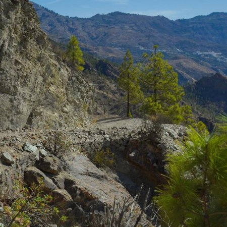 Gran Canaria culmina las obras de mejora de las pistas forestales de Guardaya y Los Moriscos