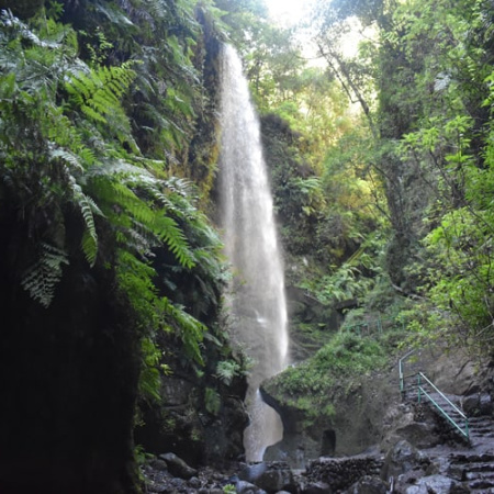 Transición Ecológica respalda la celebración del III Congreso de Reservas de la Biosfera Españolas en La Palma