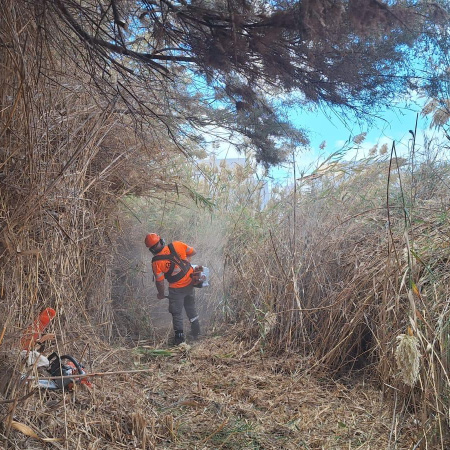 El Cabildo de Fuerteventura completa una intensa limpieza y desbroce de la carretera de entrada a Gran Tarajal y de la desembocadura del barranco