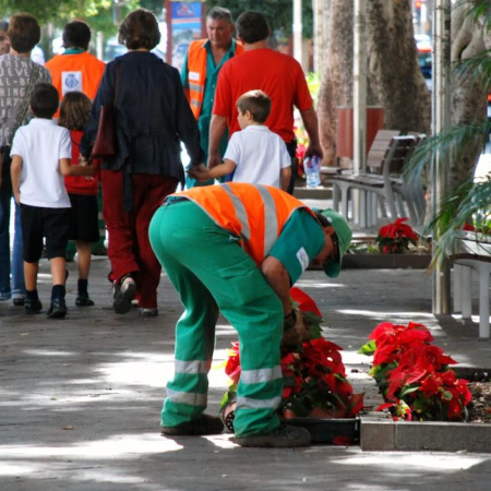 Santa Cruz impulsa la renovación y el mantenimiento de sus áreas verdes
