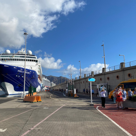 Ocho grandes navieras eligen Tenerife como puerto base regular en la temporada 2025-2026