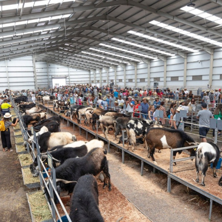La Feria de Agricultura, Ganadería y Pesca de Fuerteventura (FEAGA) vuelve del 16 al 19 de abril