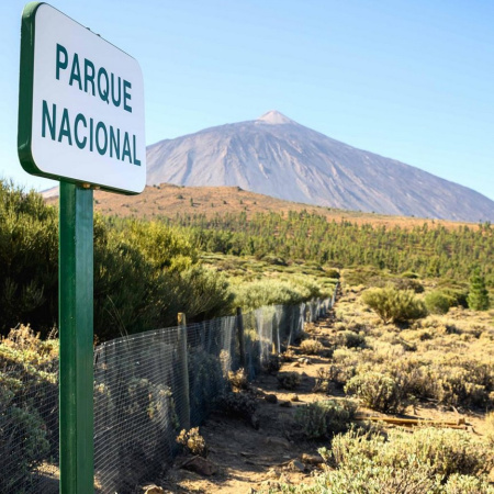El Gobierno de Canarias aprobará la transferencia de competencias del Teide al Cabildo el próximo 23 de diciembre