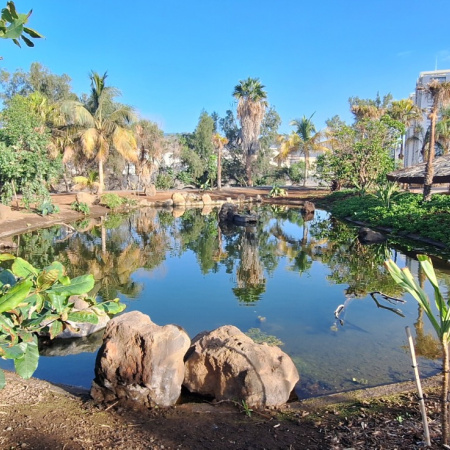 Santa Cruz refuerza el papel del Palmetum como refugio de biodiversidad