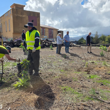 La Laguna culmina el Plan de Empleo Rural con actuaciones de recuperación ambiental en la Mesa Mota y San Roque
