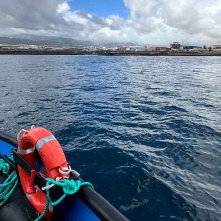 La Dirección General de Pesca constata el estado óptimo de las instalaciones acuícolas de Telde (Gran Canaria)