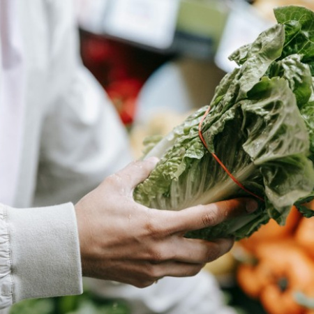 La lechuga fue el producto agrícola que más subió su precio en origen durante el último año en Canarias