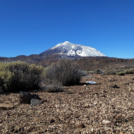 El Cabildo de Tenerife se da un plazo de un año para regular la movilidad en el Parque Nacional del Teide