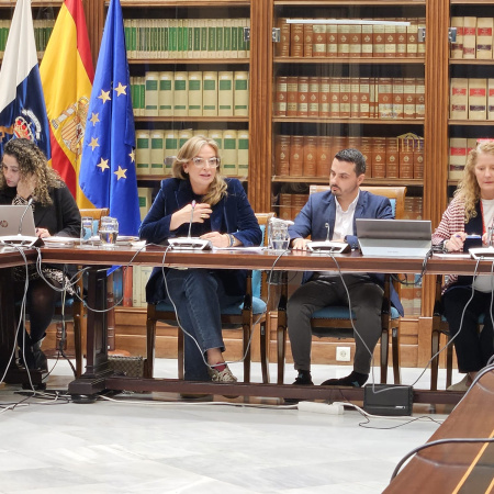 Sanidad amplía en dos años la oferta de servicios de atención domiciliaria para distintas patologías