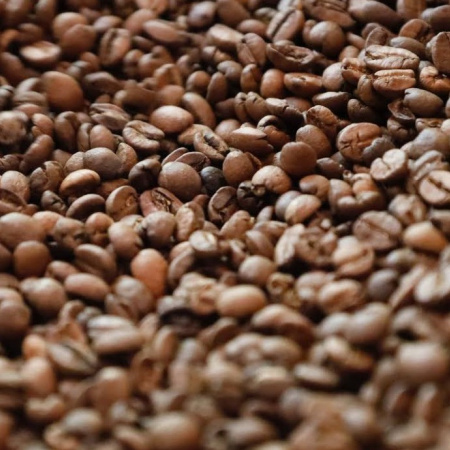 Agaete convoca una jornada técnica informativa agrícola centrada en el sector del café