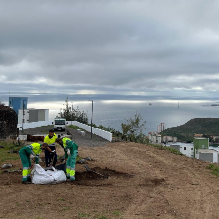 Parques y Jardines de Las Palmas de Gran Canaria renaturaliza el mirador de El Lasso