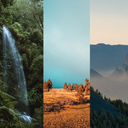 La Palma gana el premio a Mejor Localización Europea 2026 en el European Film Market – Berlinale 2026