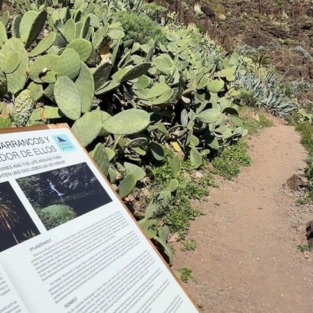 El Cabildo de La Gomera culmina los trabajos de conservación del sendero El Guro - Salto del Agua en Valle Gran Rey