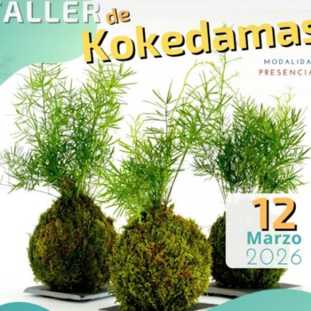 Arucas abre las preinscripciones para el taller de Kokedamas