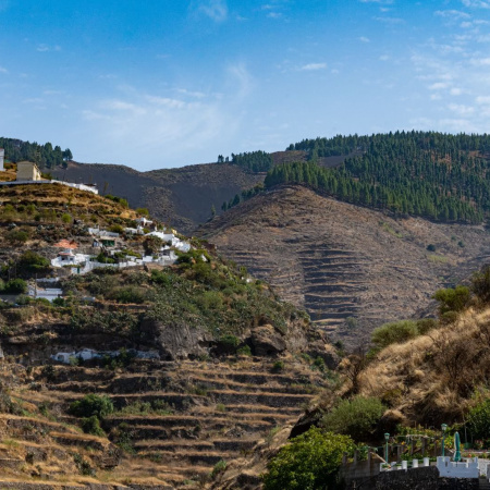 El Cabildo de Gran Canaria concede 300.000 euros a proyectos destinados a la salvaguarda y la proyección social de la Reserva de la Biosfera y el Patrimonio Mundial