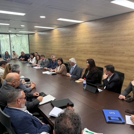 El PP traslada al Congreso las demandas de policías nacionales, guardias civiles y funcionarios de prisiones para reforzar la seguridad y las infraestructuras del Estado en Canarias