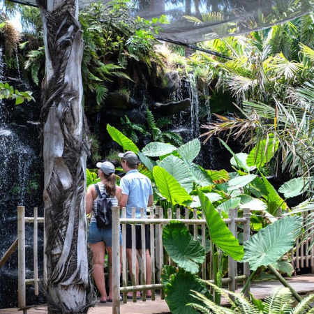 El Palmetum, premiado con el galardón de “Amigos del Botánico” 2026 de Madrid