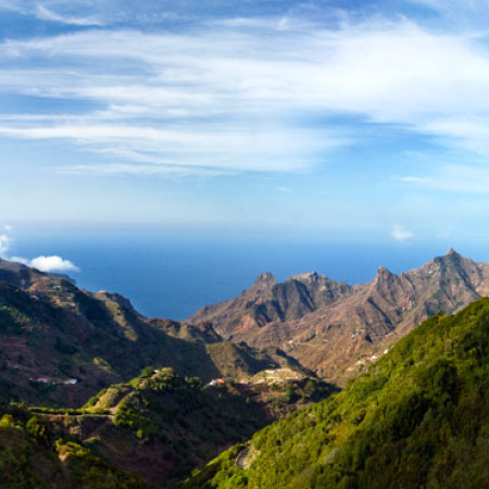 El Cabildo de Tenerife lanza un visor cartográfico interactivo para el seguimiento en tiempo real del control de la flora invasora